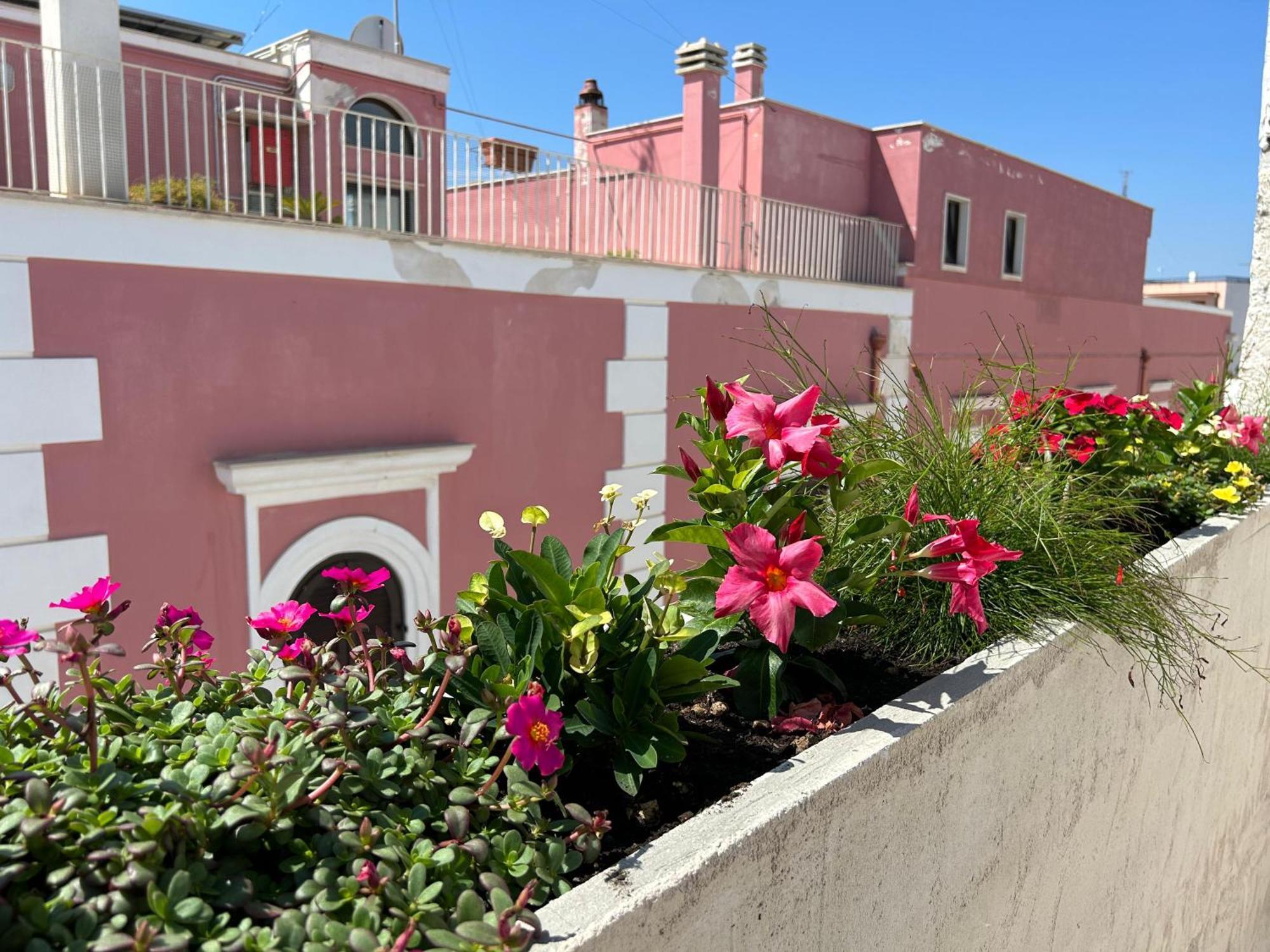 Trame Dimora Rachele Bed and Breakfast Polignano a Mare Εξωτερικό φωτογραφία