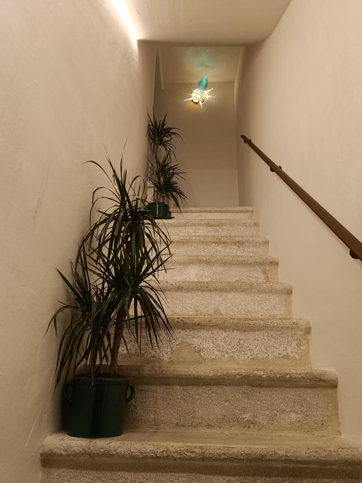 Trame Dimora Rachele Bed and Breakfast Polignano a Mare Εξωτερικό φωτογραφία